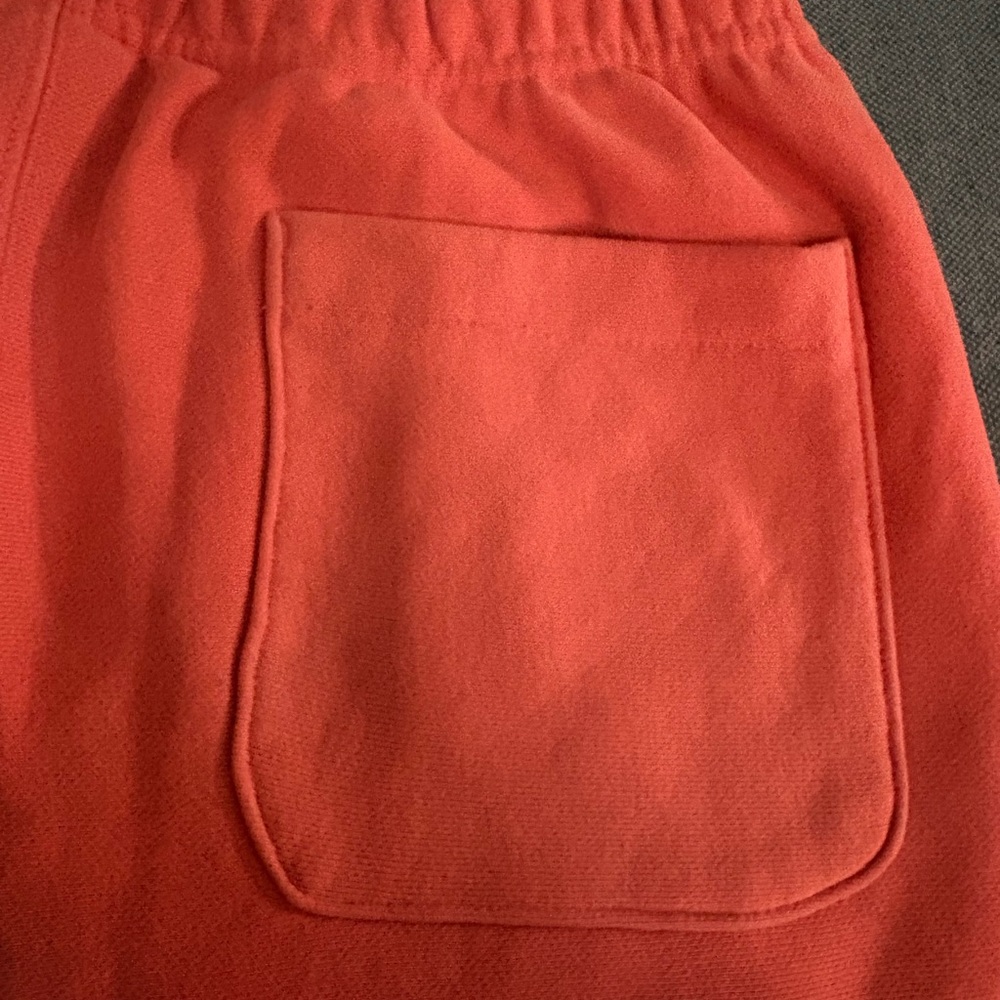 Champion Coral Reverse Weave Sweatpants - Picture 5 of 5